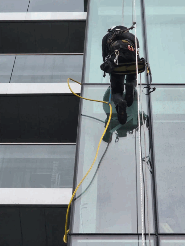 Rope access technician in harness inspects glass cladding panel on a high-rise building facade