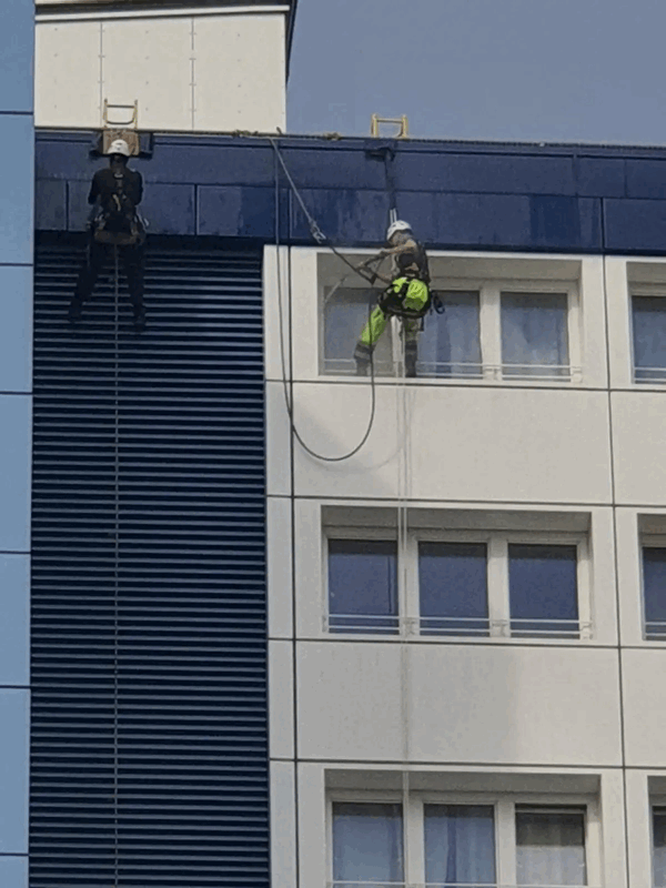 Two rope access technicians in harnesses inspect blue and white cladding panels on a high-rise building facade