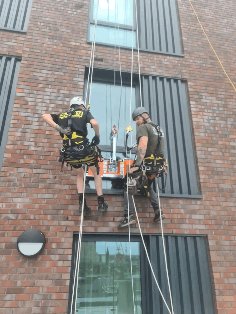 Two rope access technicians in harnesses inspect brick and dark metal cladding panels on a building facade.