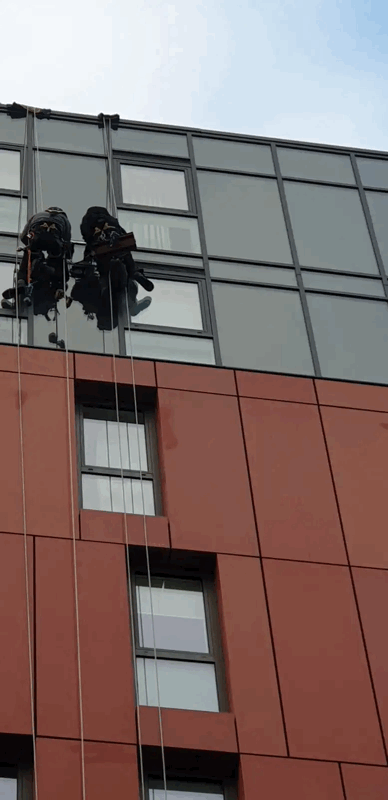 Two rope access technicians inspect red and grey cladding panels on a high-rise building facade.